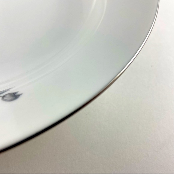 Vintage Winterling Schwarzenbach 8 7/8" Rim Soup Bowls Set of 4 Gray Flowers - Picture 5 of 8